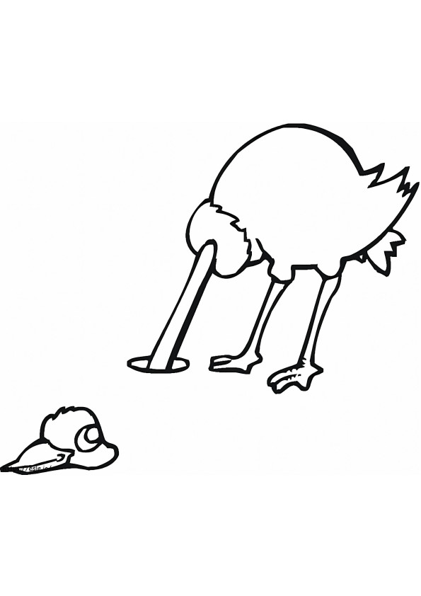 Ostrich 3 coloring page