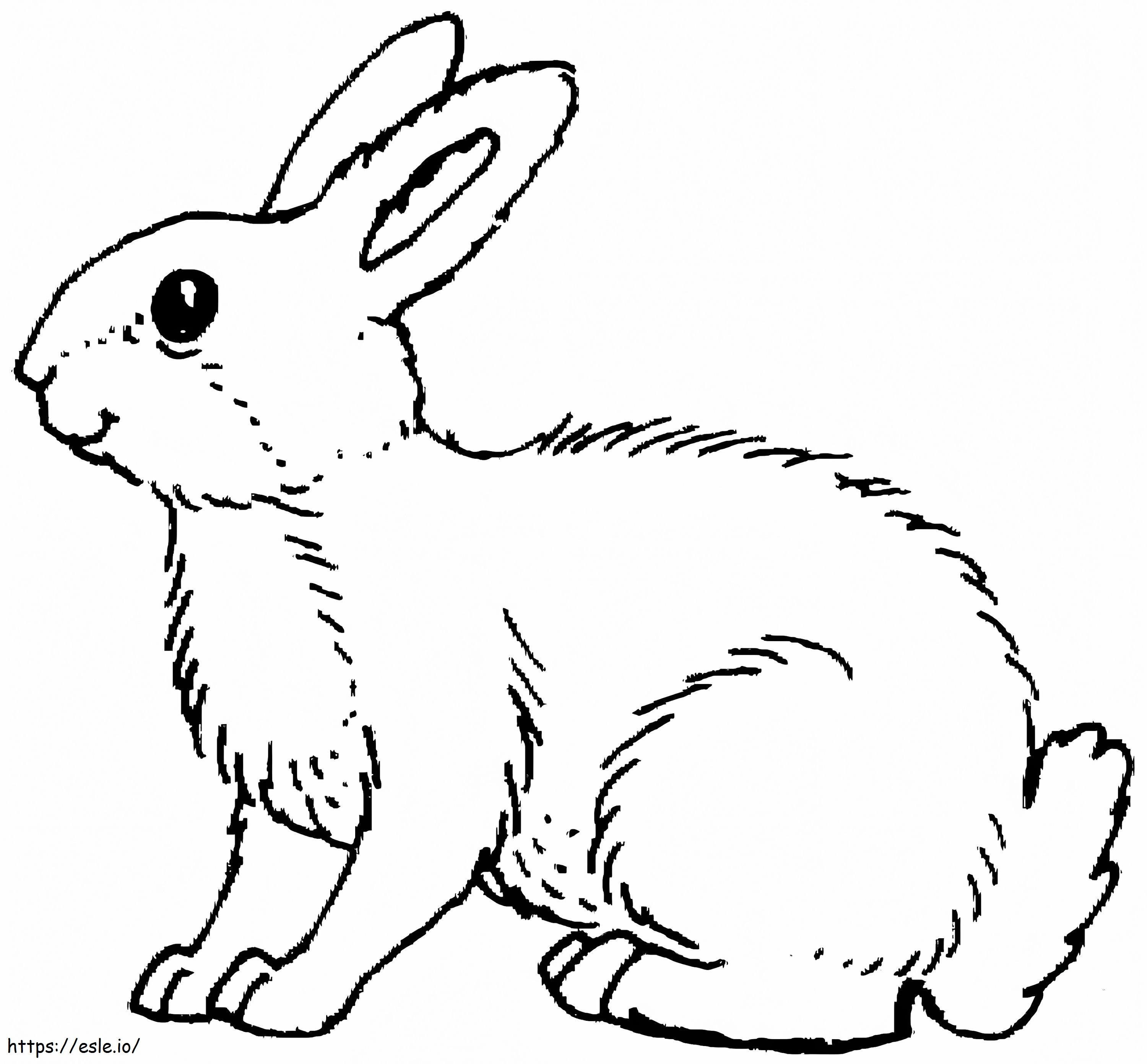wit konijn kleurplaat kleurplaat