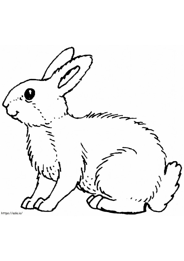 wit konijn kleurplaat