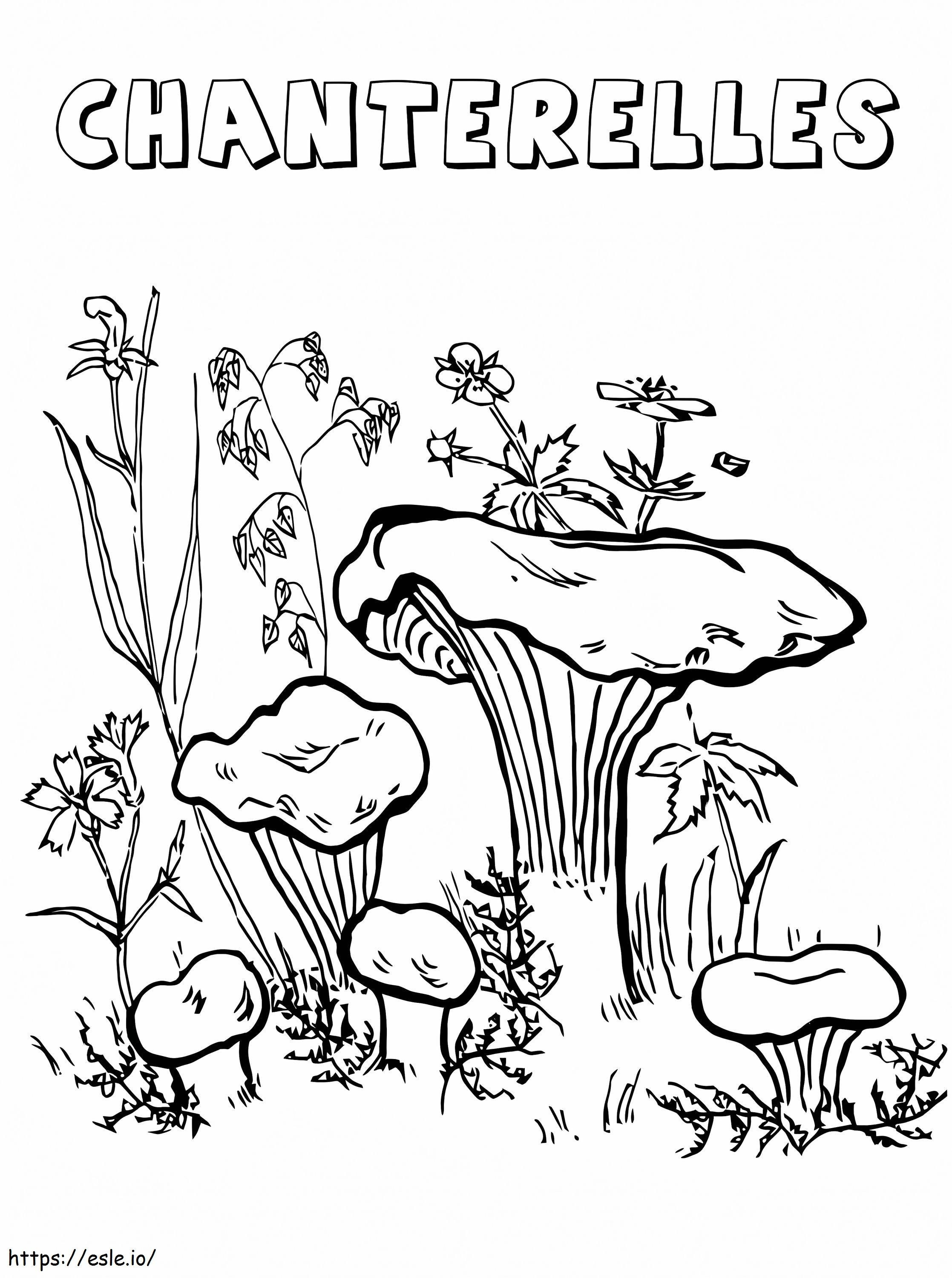 Chanterelles Mushrooms coloring page