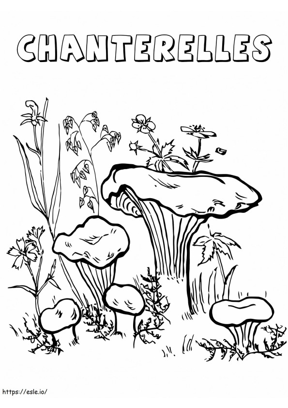 Cogumelos Chanterelles para colorir
