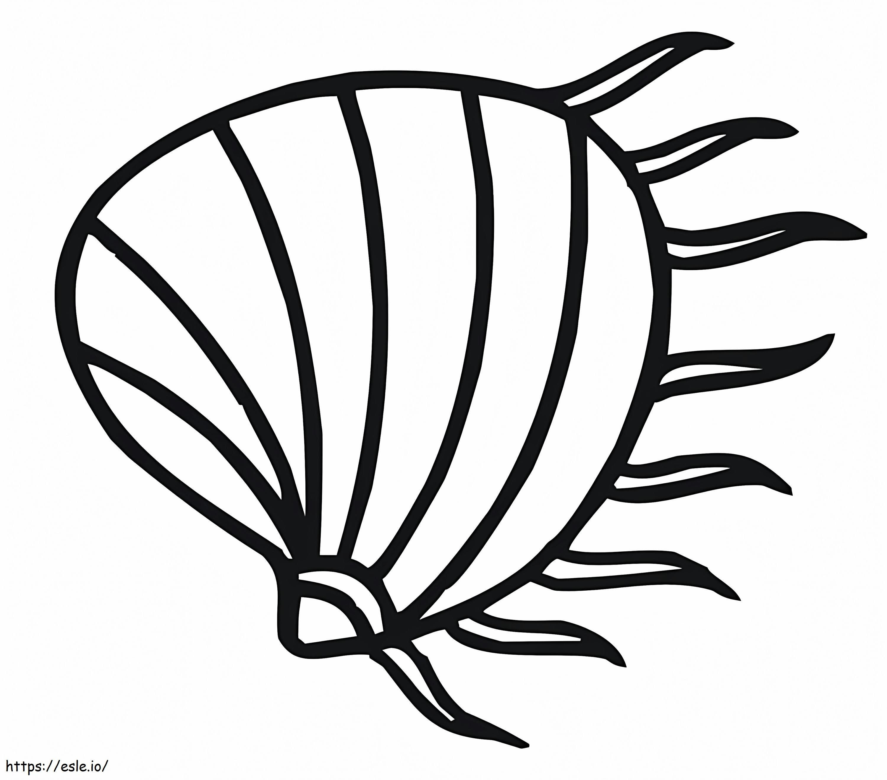 A Clam coloring page