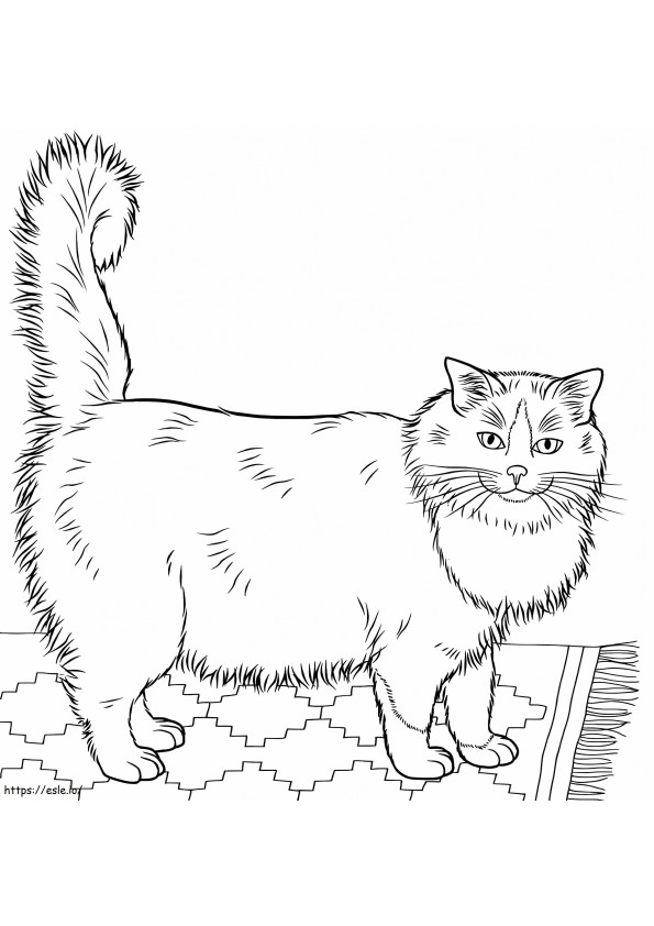 ラグドール猫 1 ぬりえ - 塗り絵