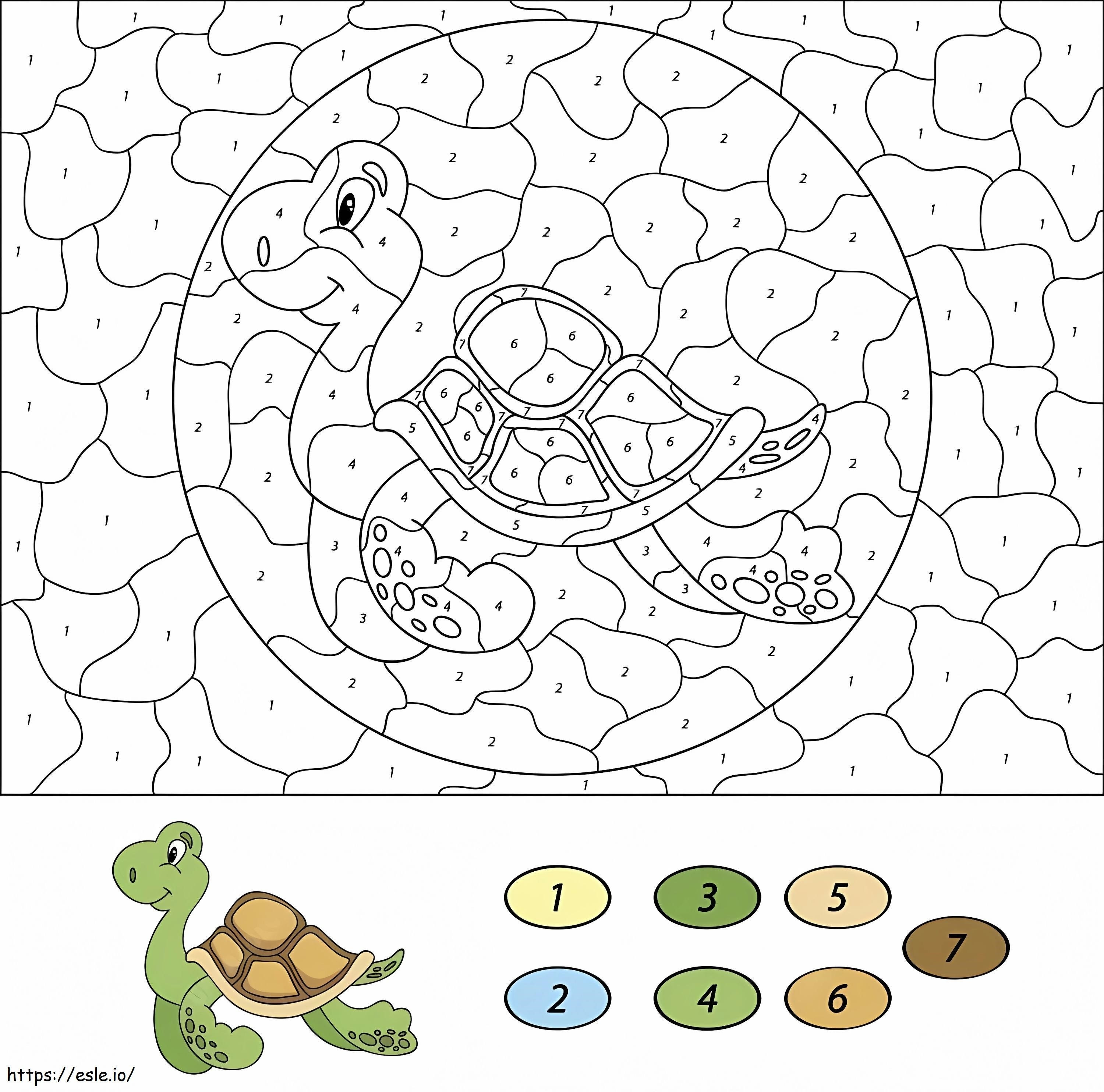 Colorear por números tortugas marinas para colorear