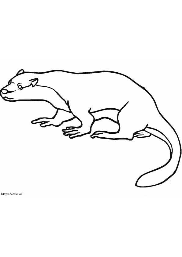 Simple Otter coloring page