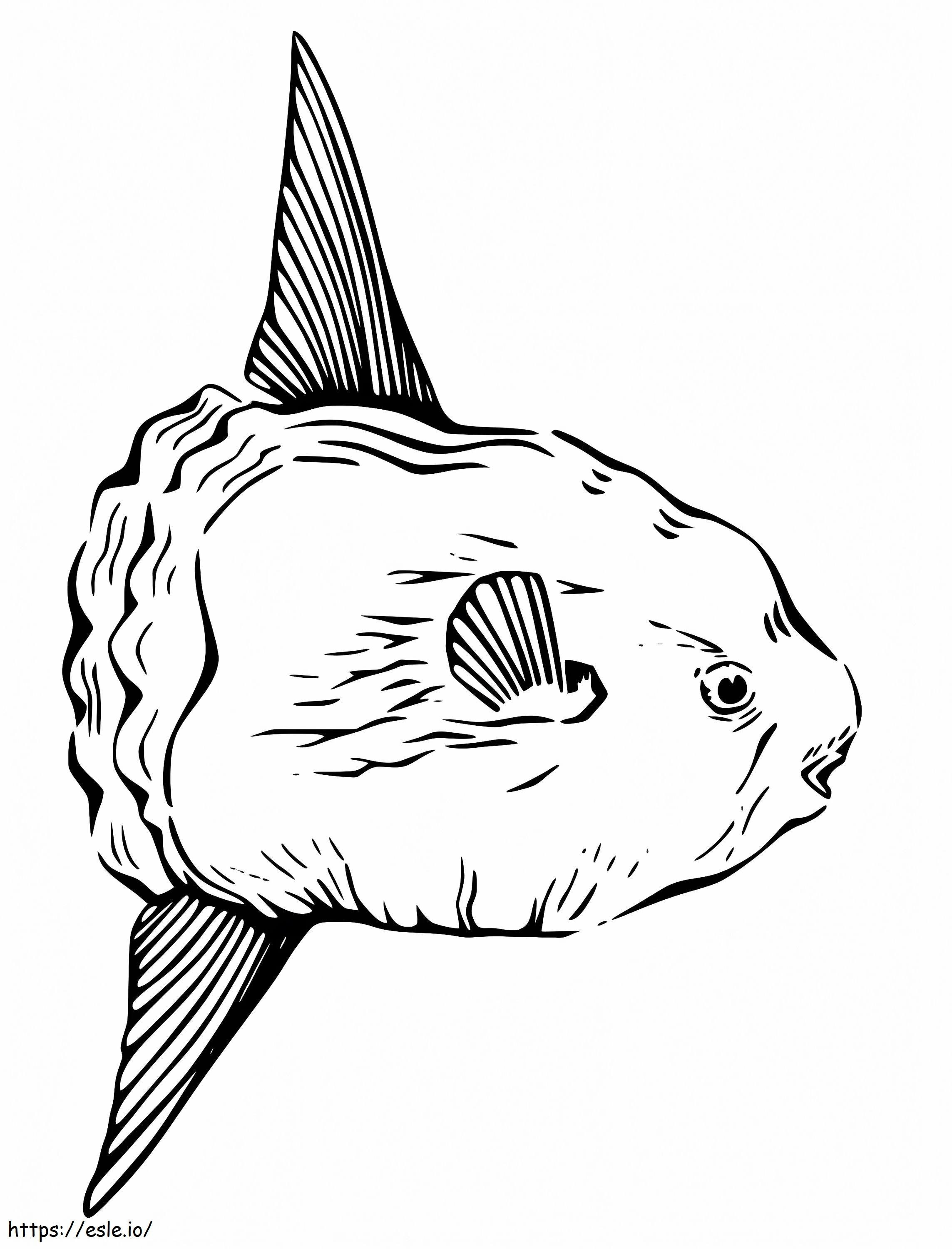 Printable Sunfish coloring page