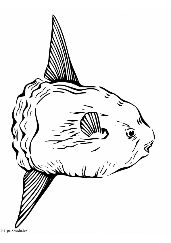 Printable Sunfish coloring page