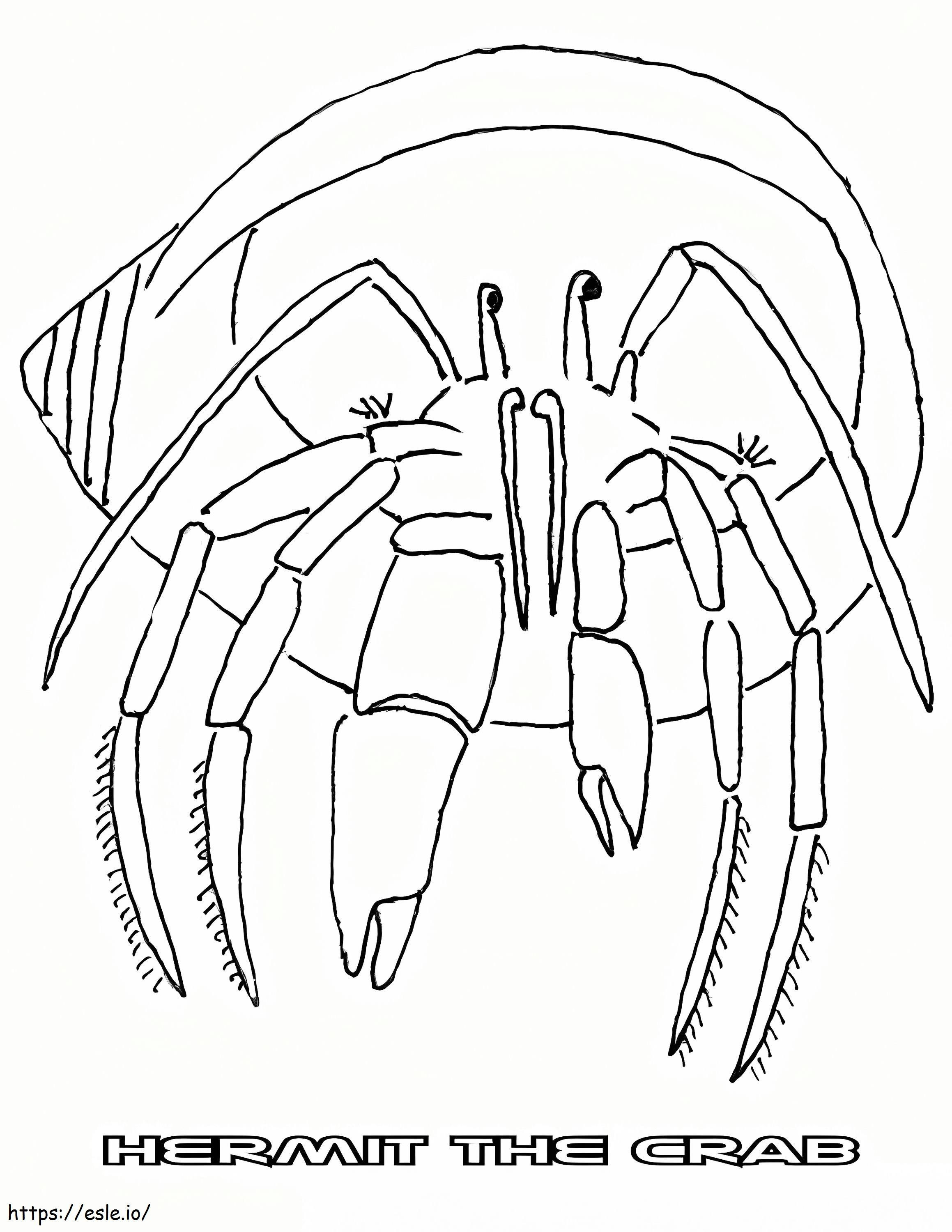 Hermit Crab 3 coloring page