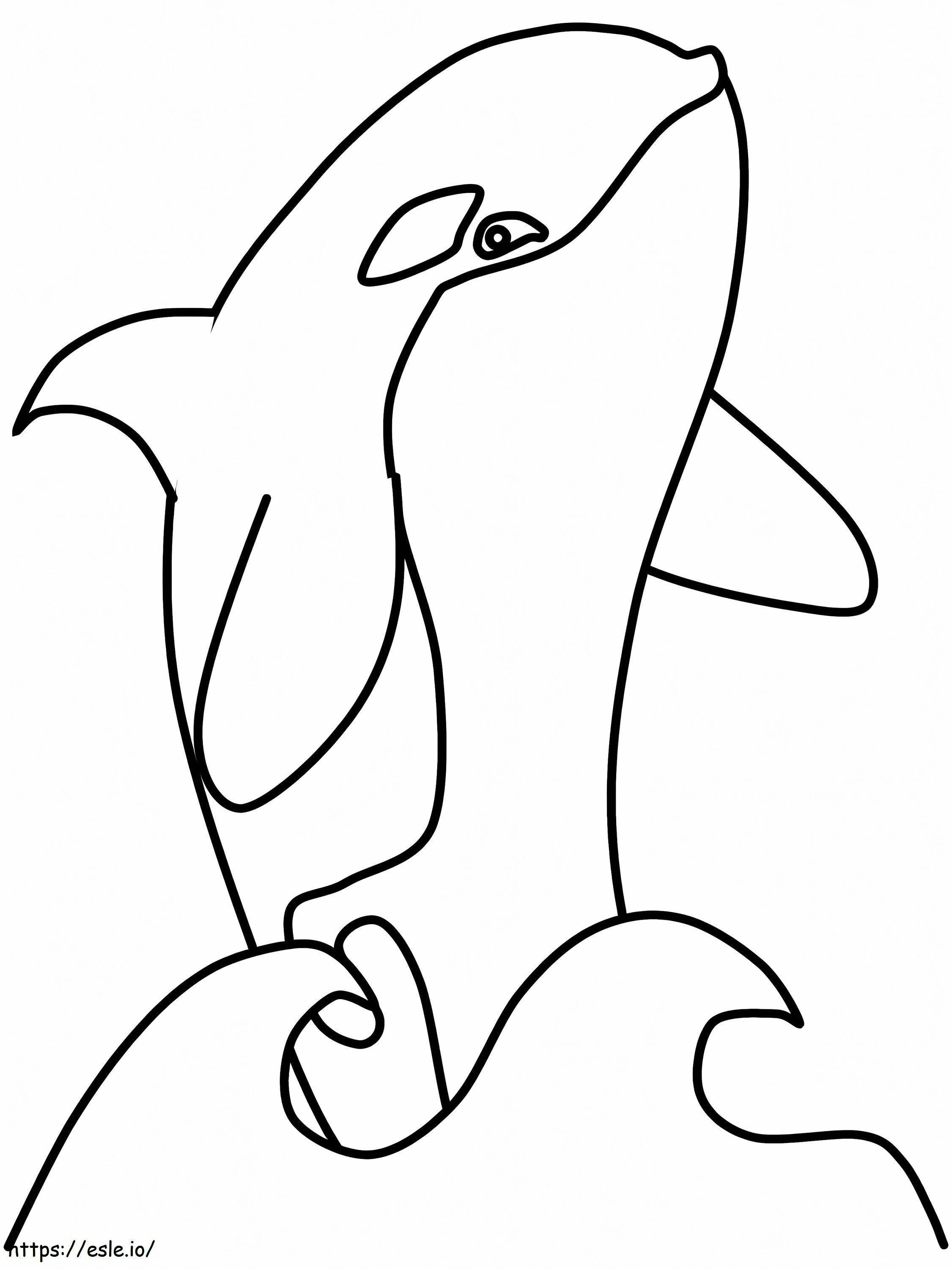 Print Orca Whale coloring page
