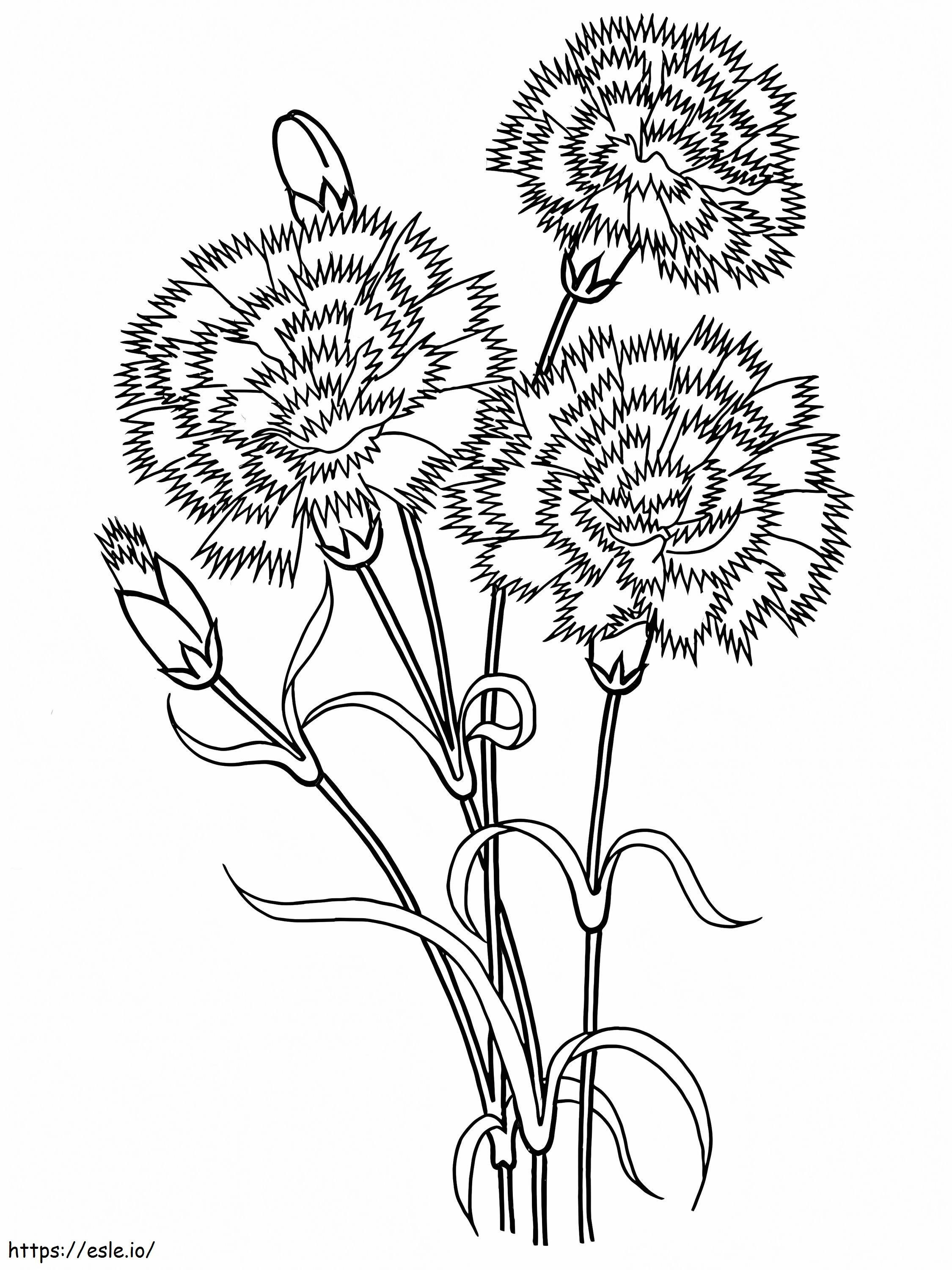 Three Carnations coloring page