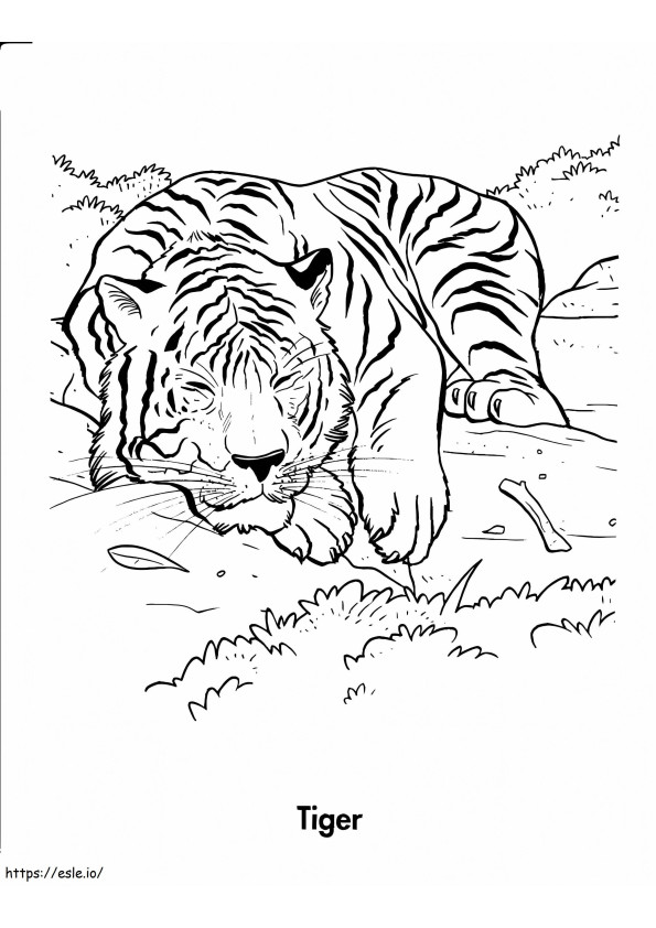 Slapende tijger kleurplaat