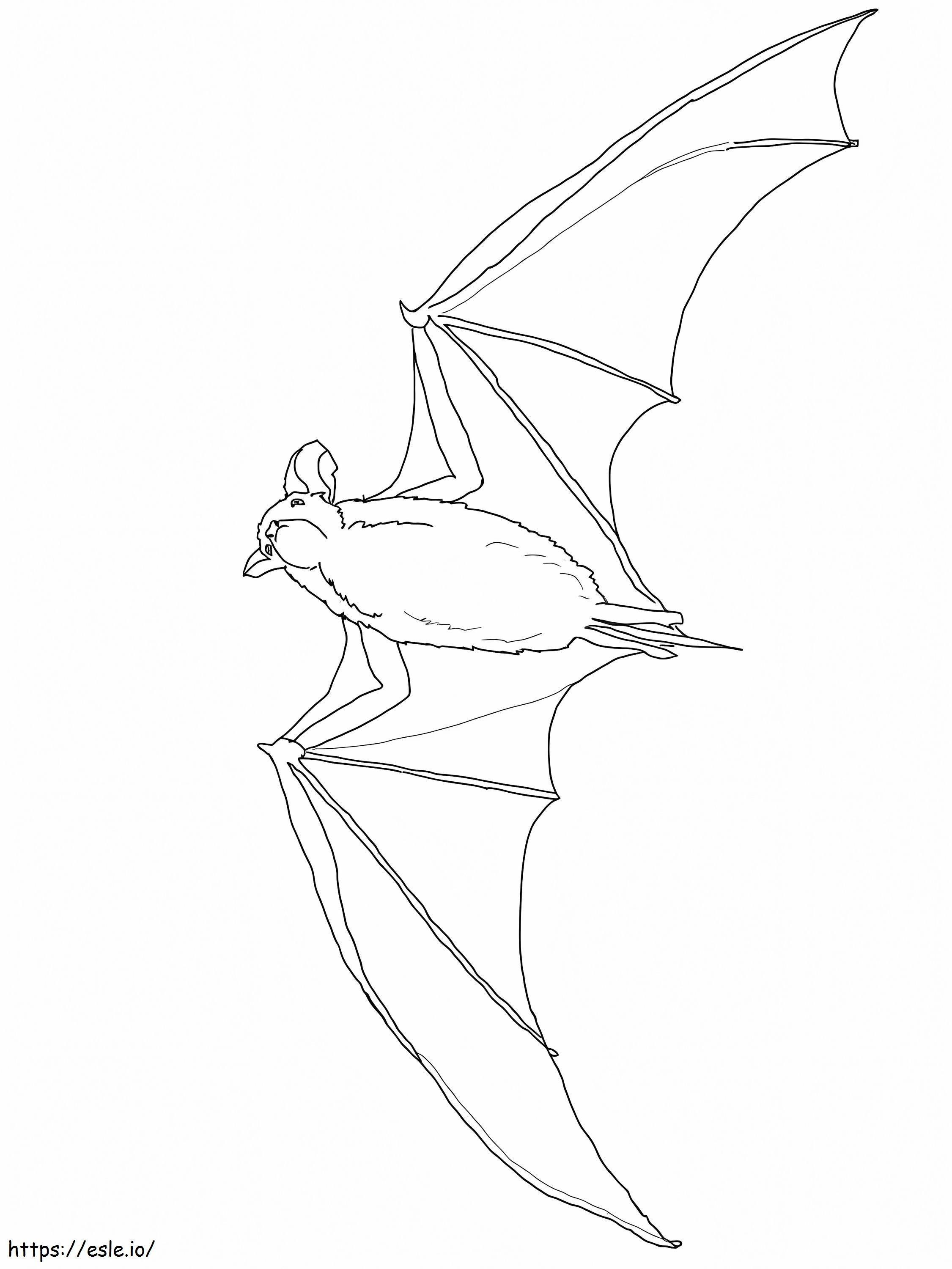 Morcego de cauda livre mexicano para colorir