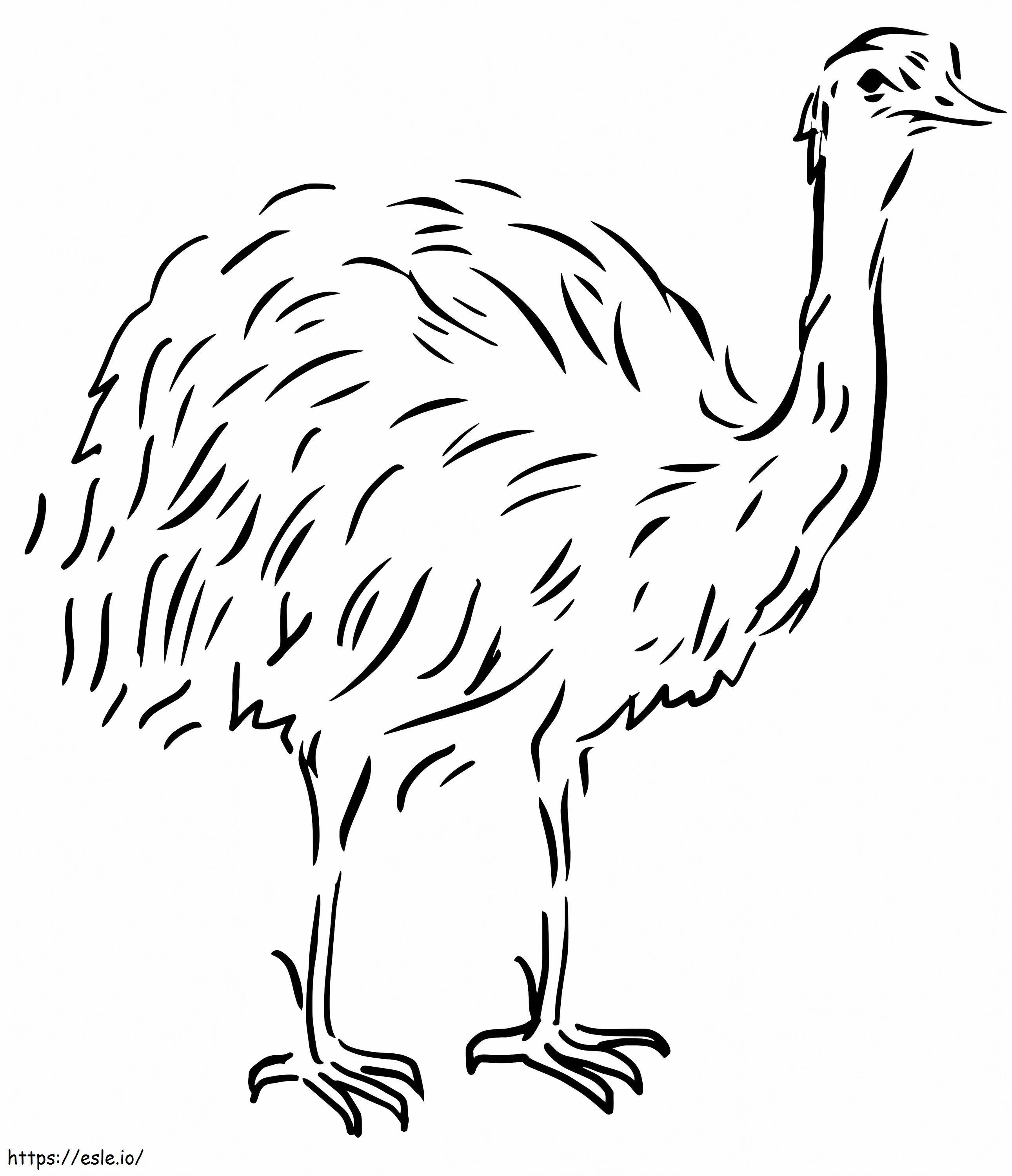 Kostenloser Emu ausmalbilder