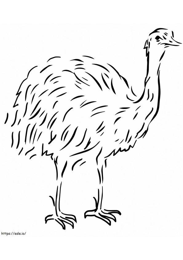 Free Emu coloring page