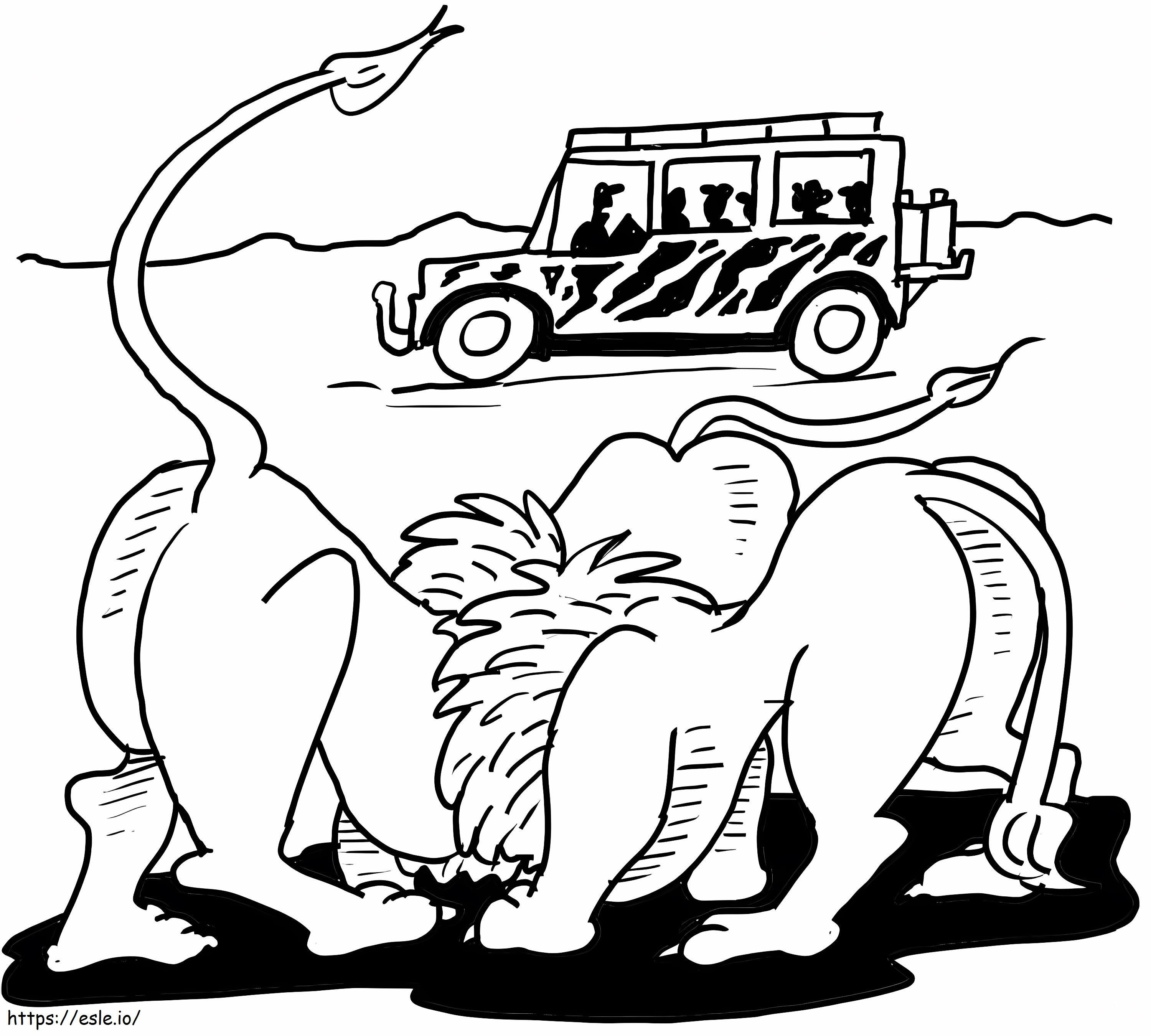 African Lion Safari coloring page