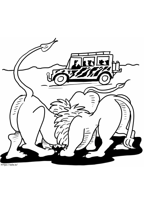 African Lion Safari coloring page