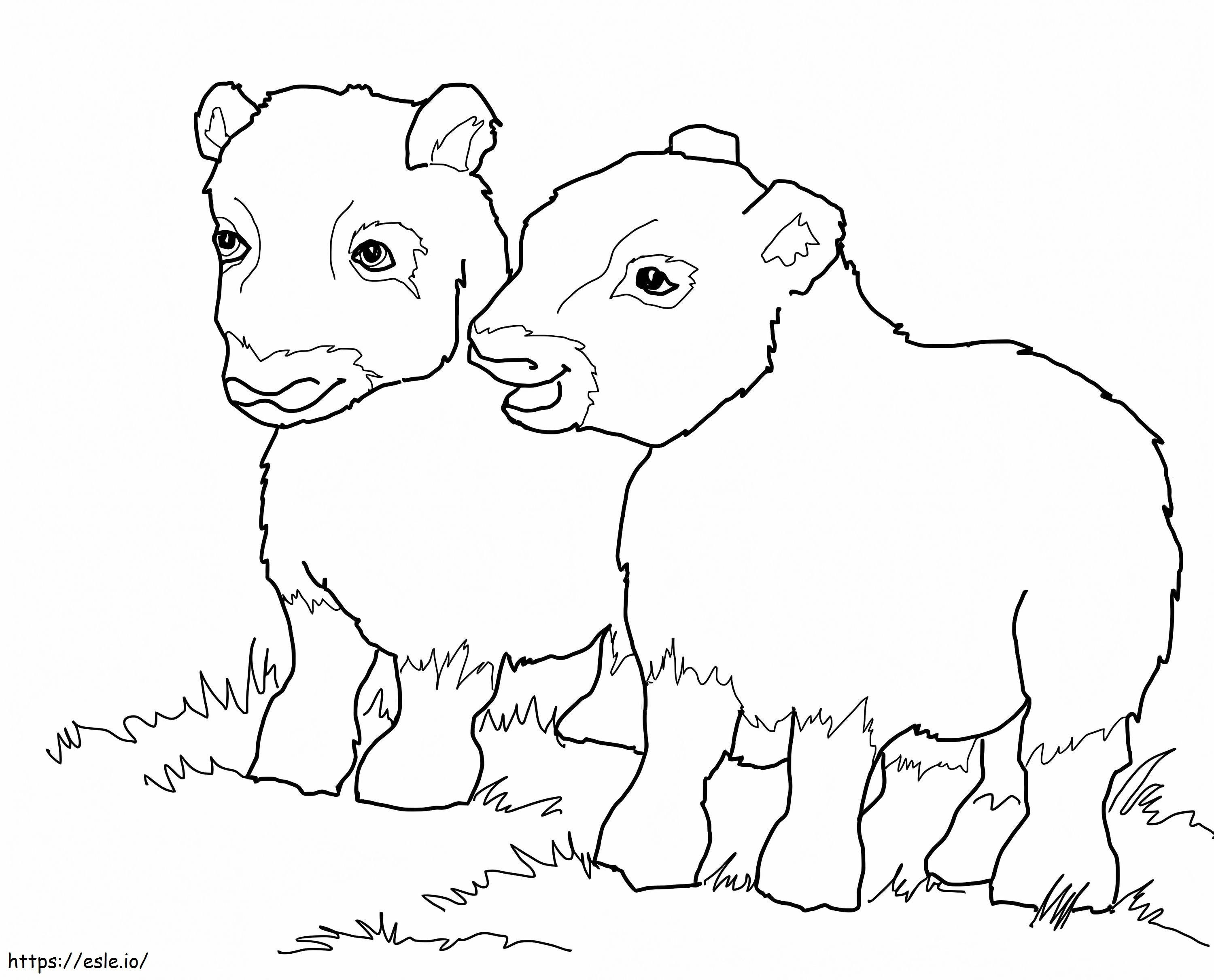 Bebês de boi almiscarado para colorir