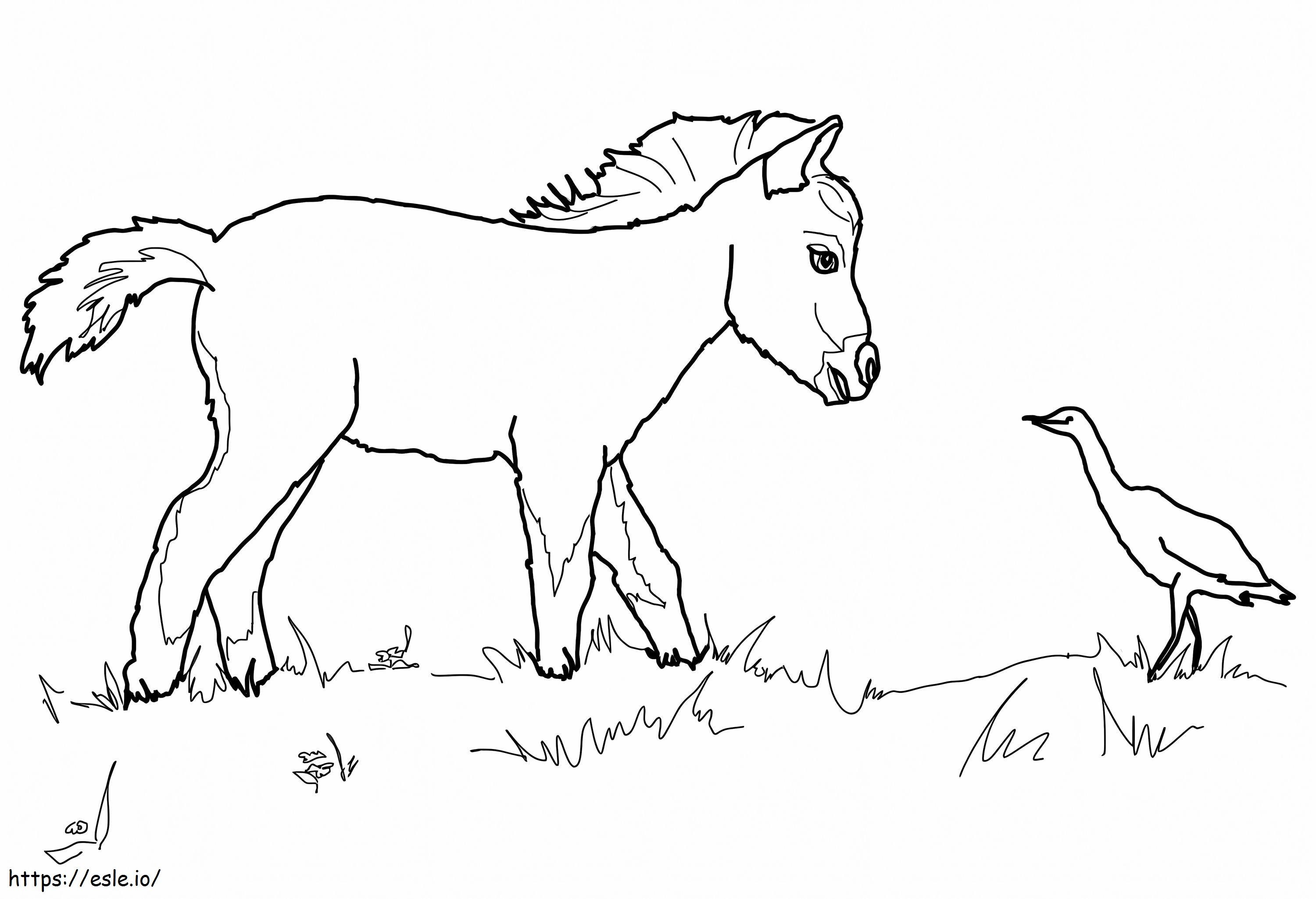 Little Horse And Bird coloring page