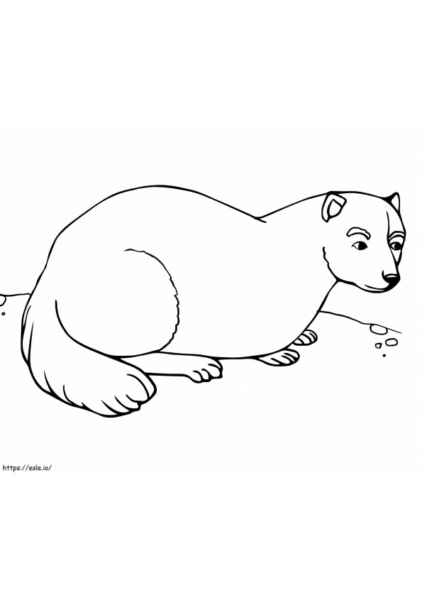 Free Printable Ferret coloring page
