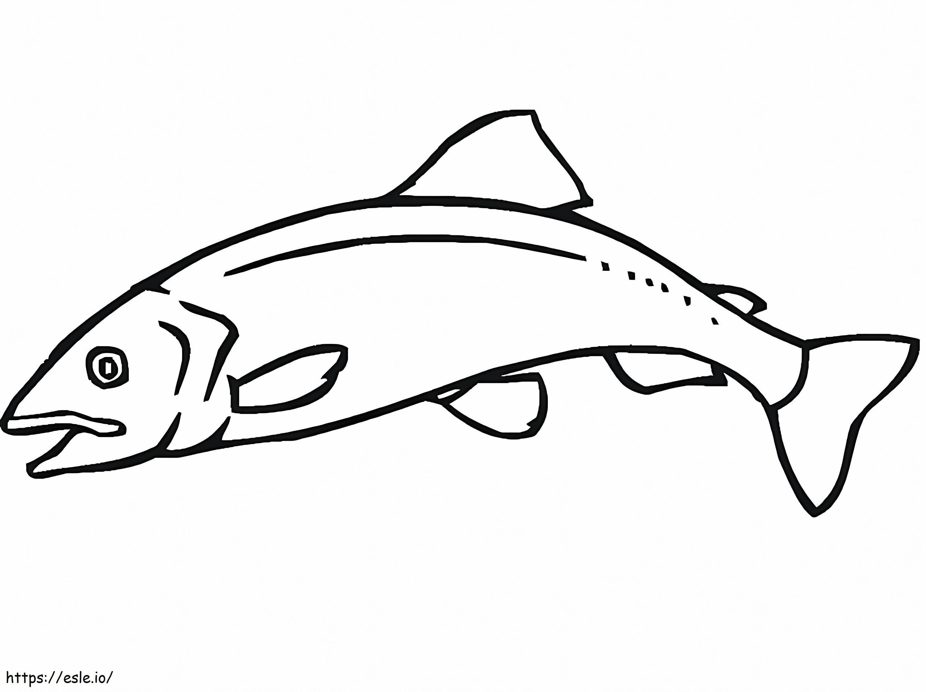 Salmon Tunggal Gambar Mewarnai