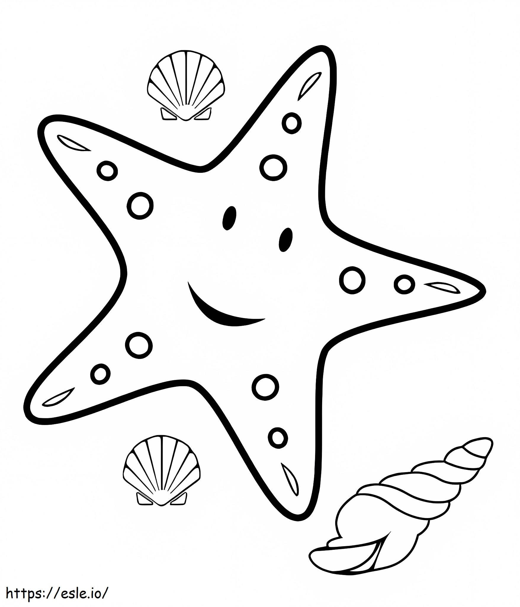 Estrelas do mar e caracóis marinhos, conchas do mar para colorir