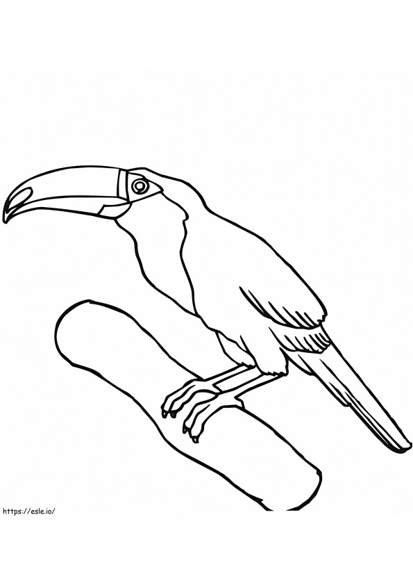 Tucano em um galho 1