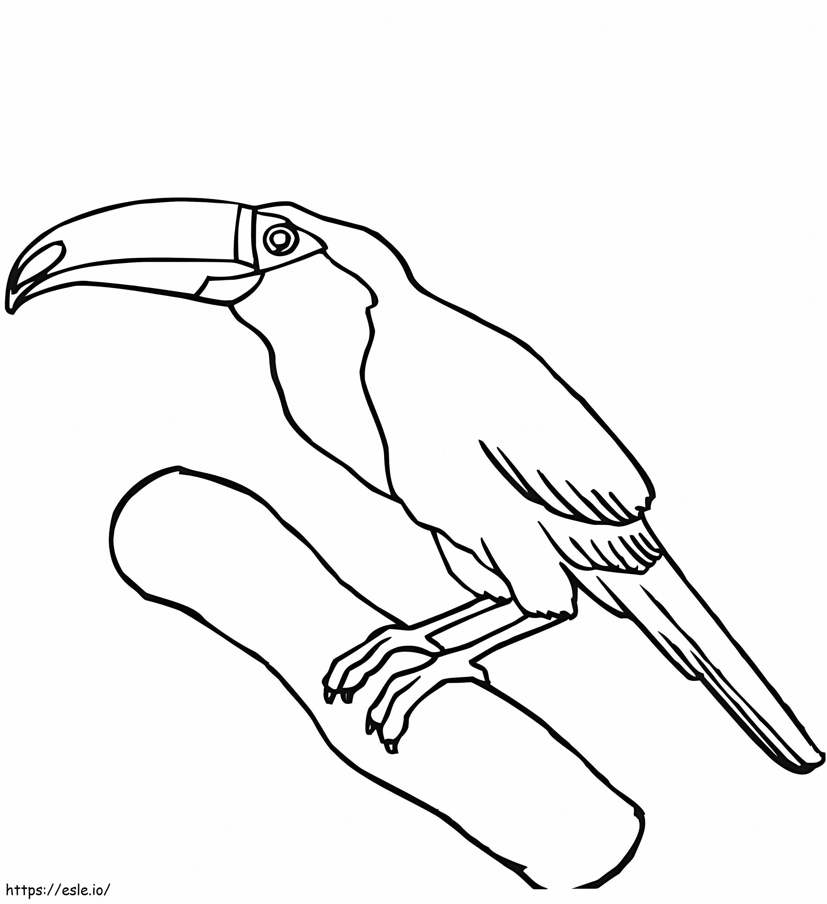 Toucan On A Branch 1 Coloring Page for Kids