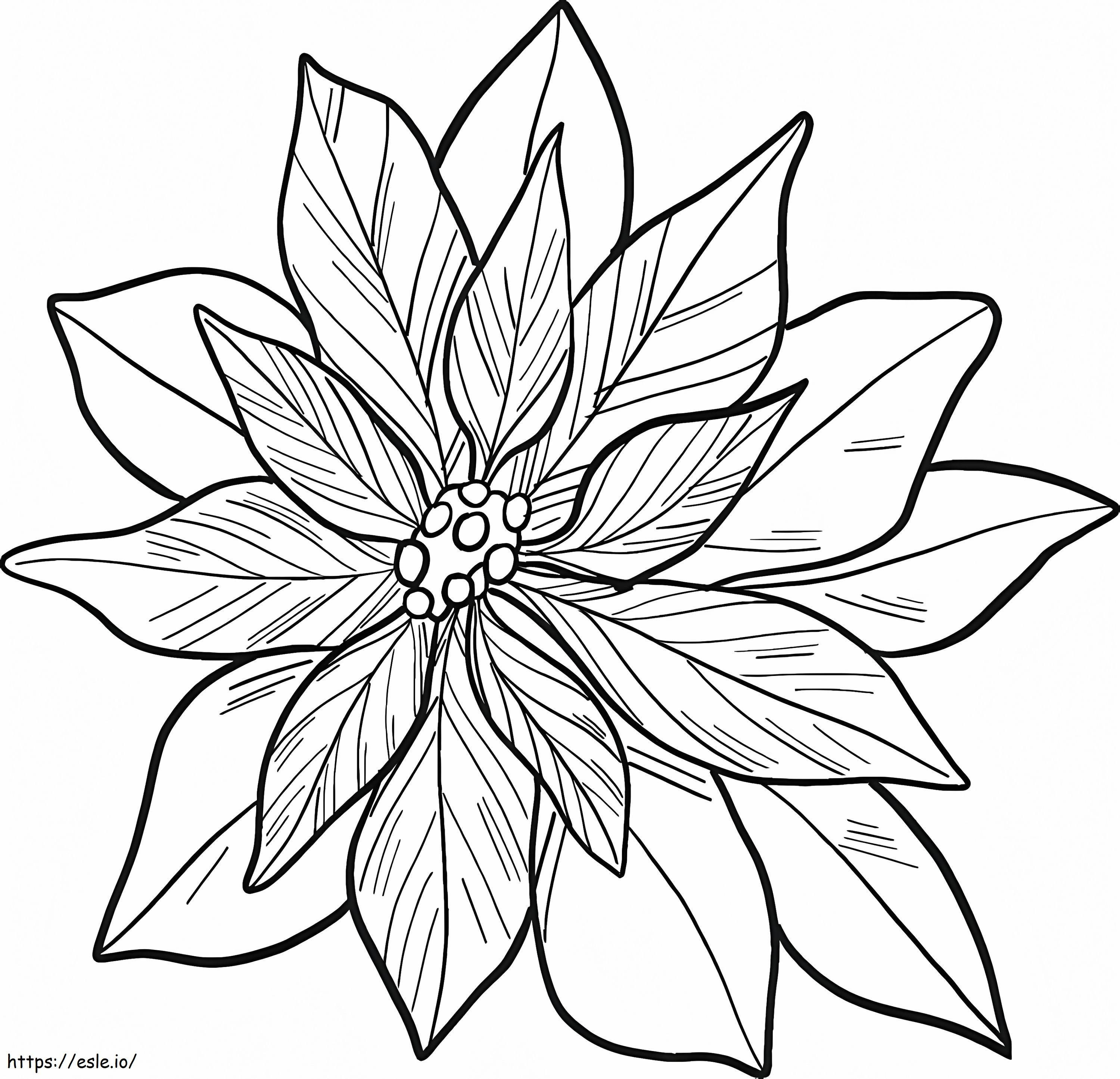 Bunga Poinsettia Untuk Dicetak Gambar Mewarnai