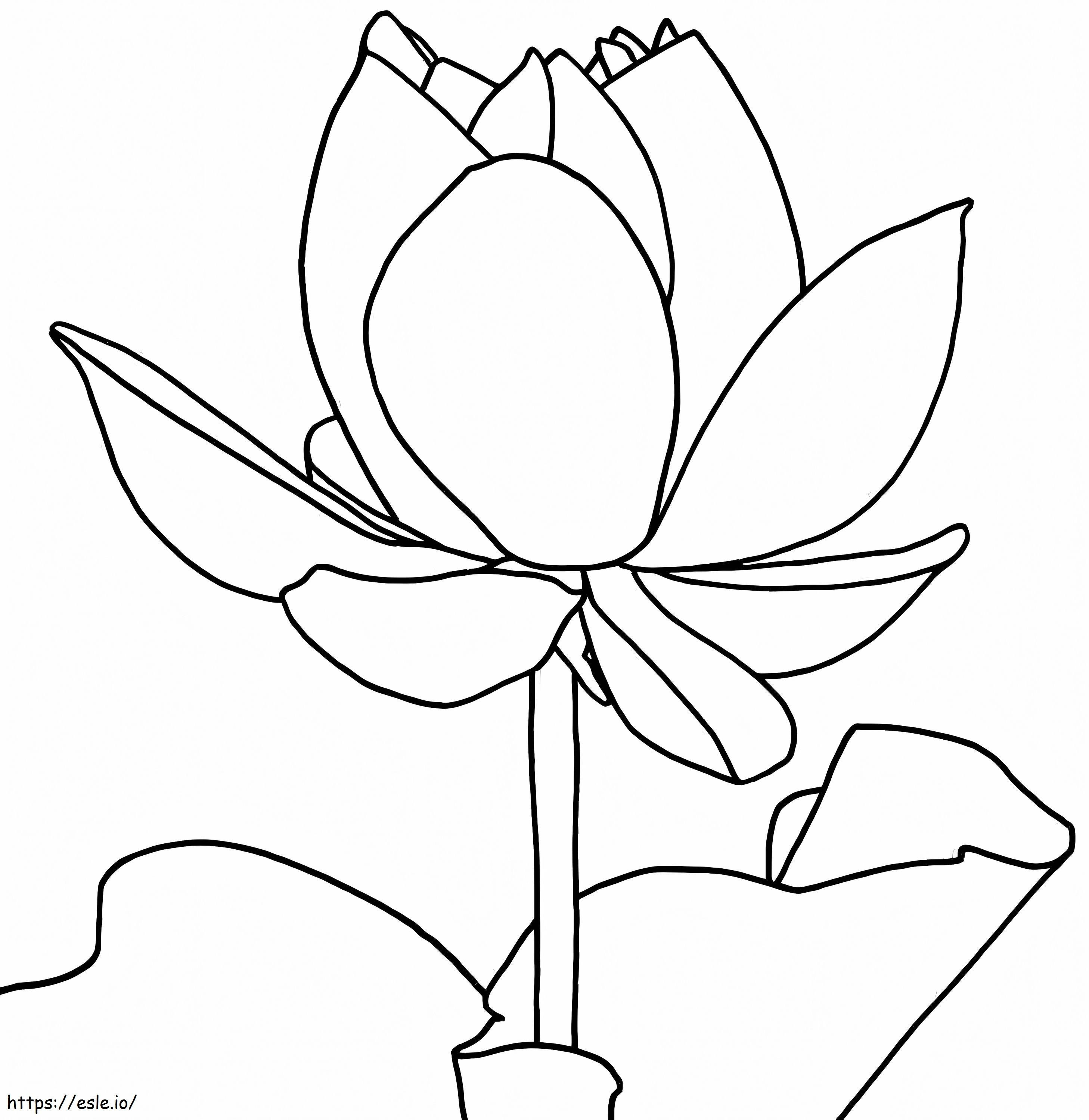 Lotus Drawing coloring page