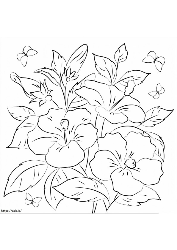 Coloriage Hibiscus 7 à imprimer dessin