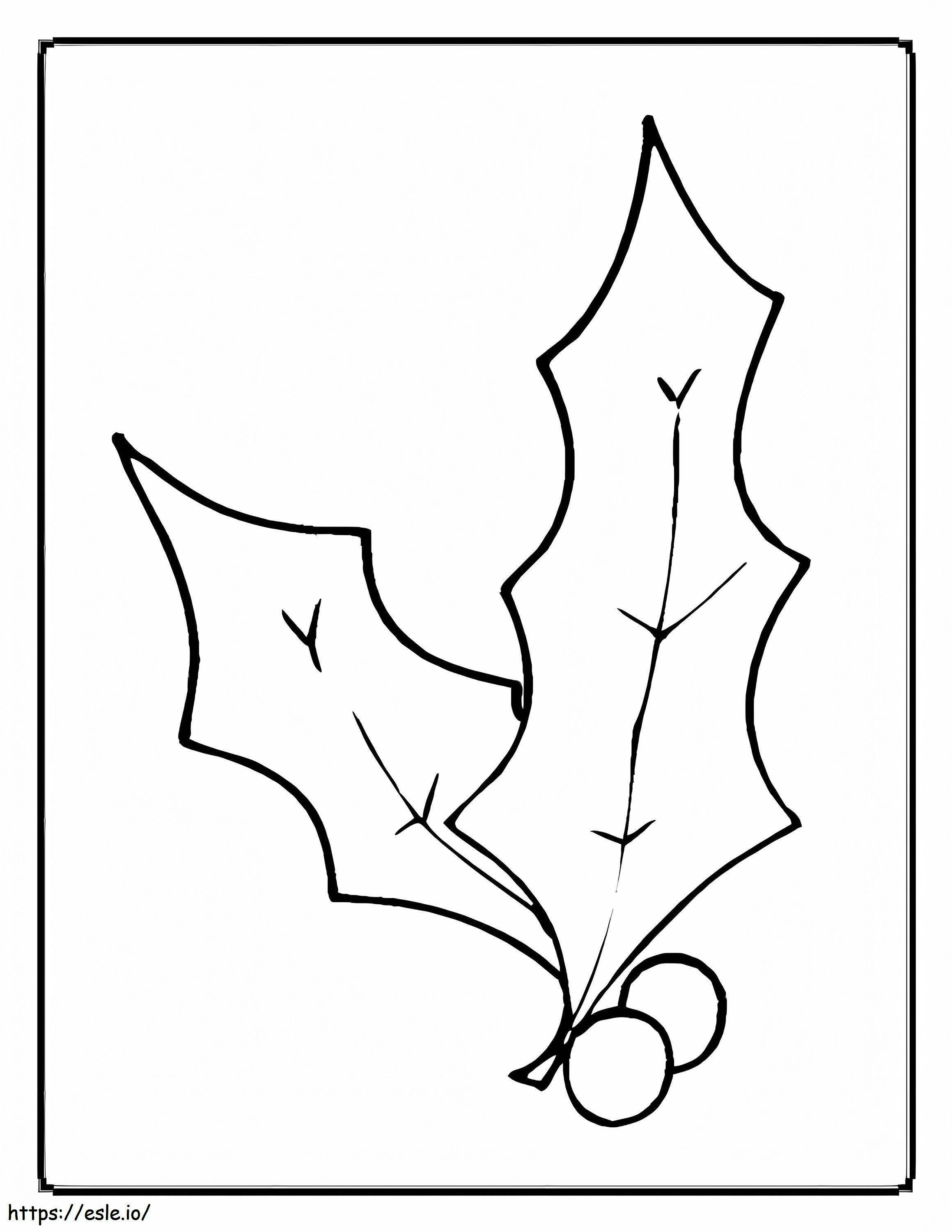 Christmas Holly 11 coloring page