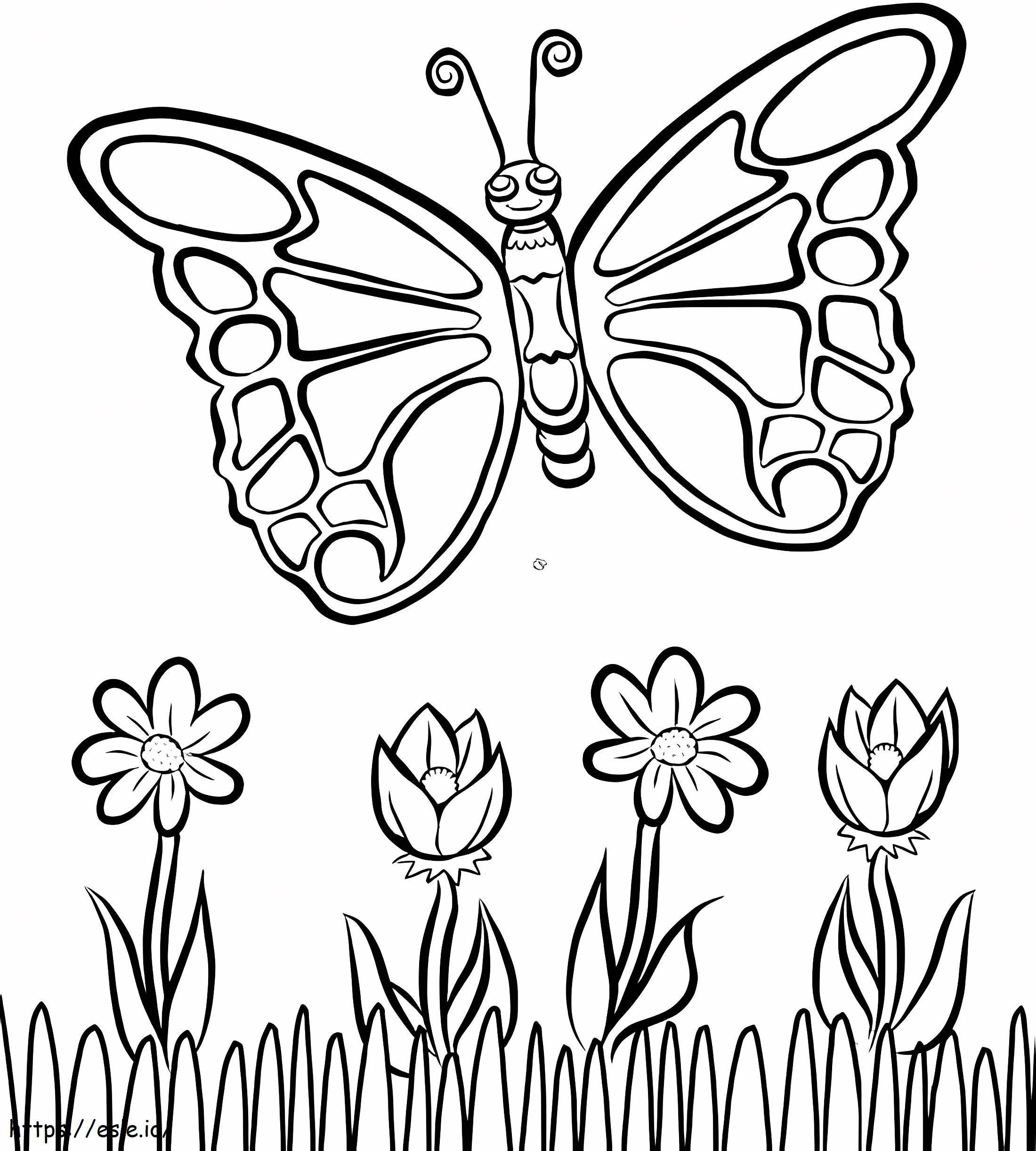 Alap pillangó kifestő