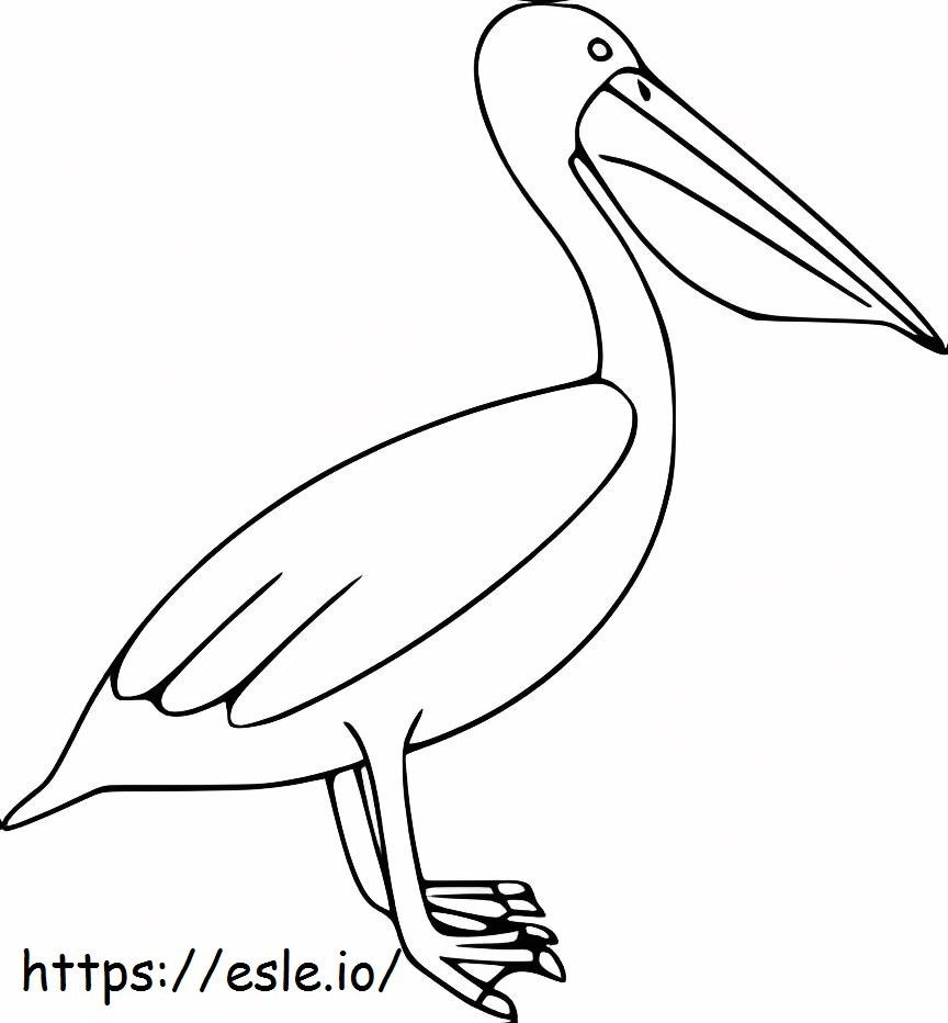Stunning Pelican coloring page