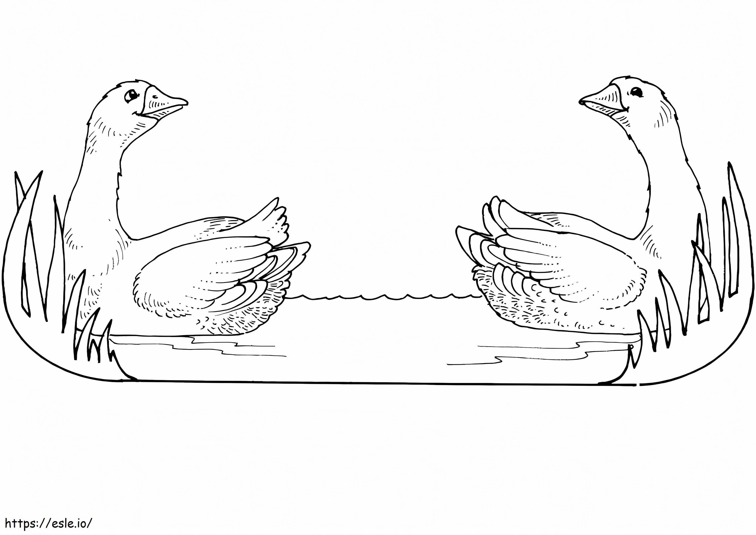 Twin Geese coloring page