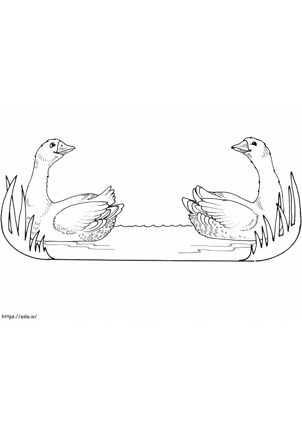 Twin Geese coloring page
