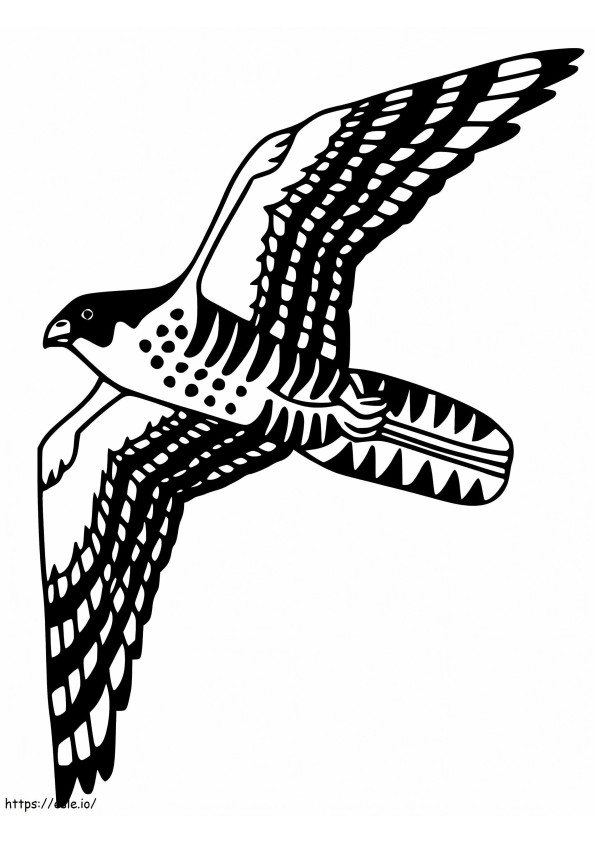 白い首輪のトビ鳥 ぬりえ - 塗り絵
