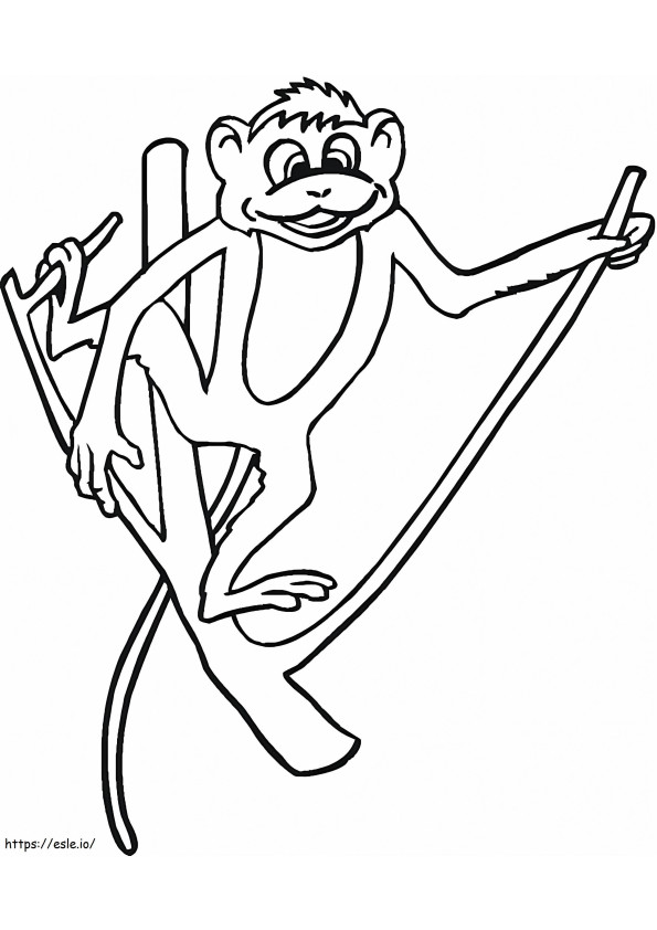 Macaco segura o galho