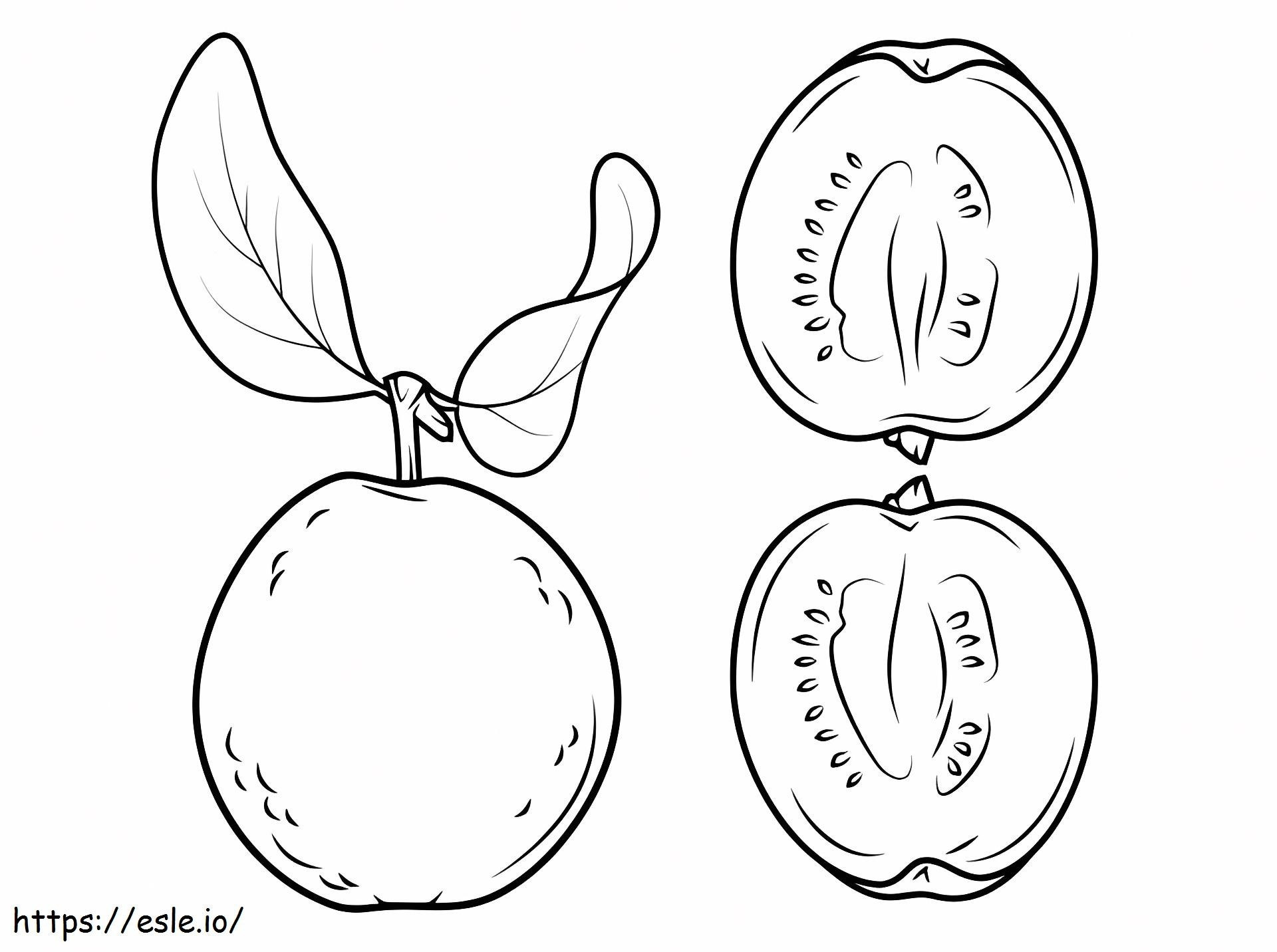 Guava And Its Cross Section coloring page