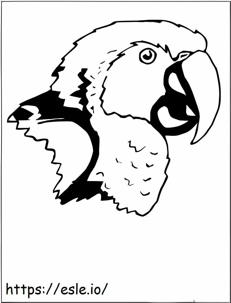 Parrot Macaw Face coloring page
