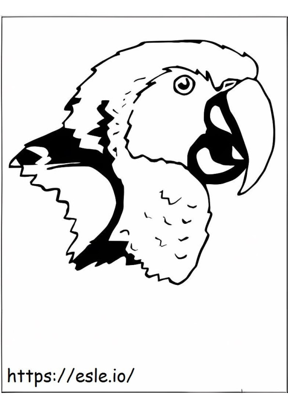 Parrot Macaw Face coloring page