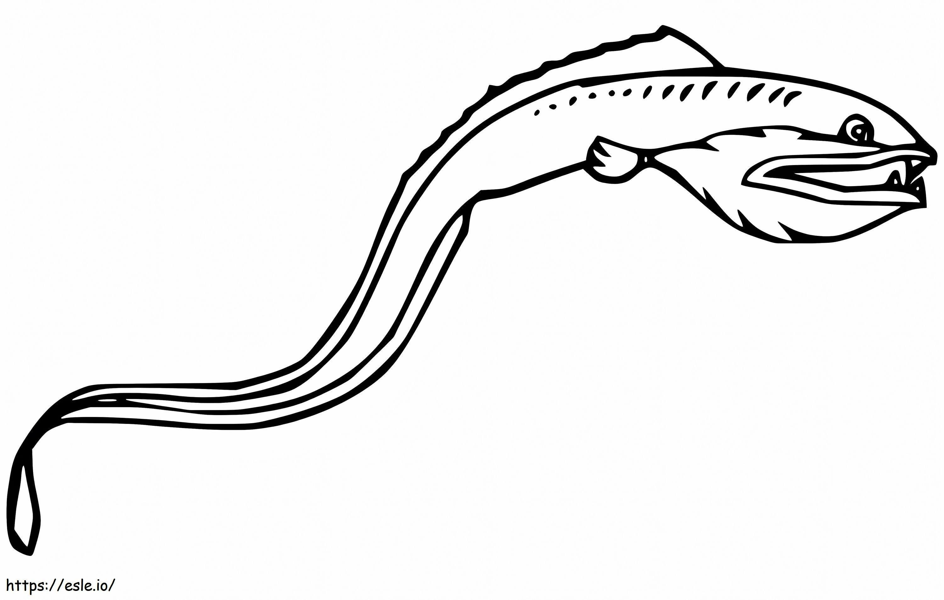 Peixe-víbora nadando para colorir