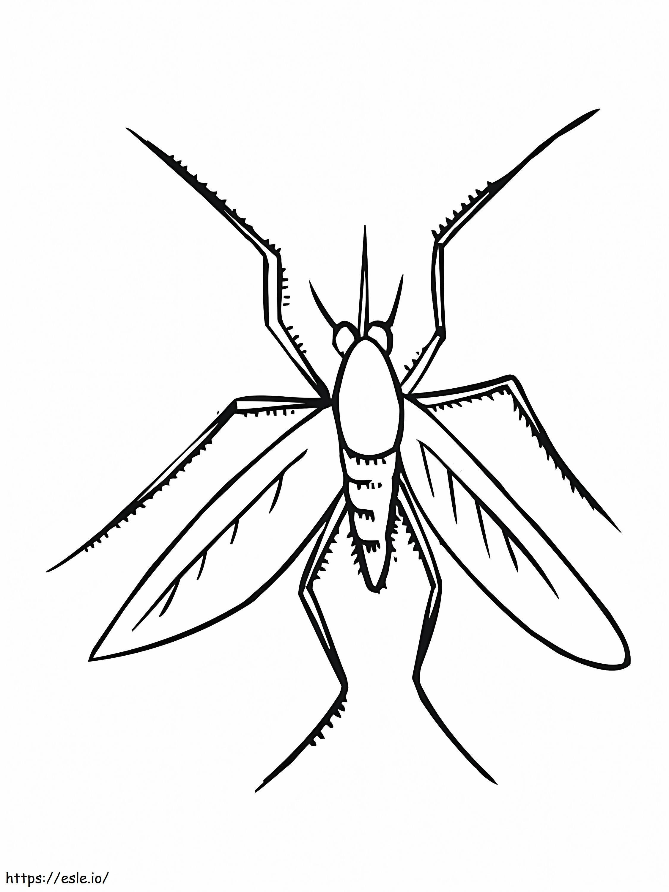 Coloriage Insecte moustique à imprimer dessin