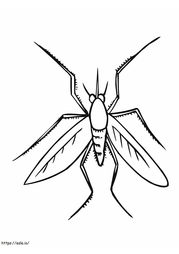 Mosquito Insect coloring page