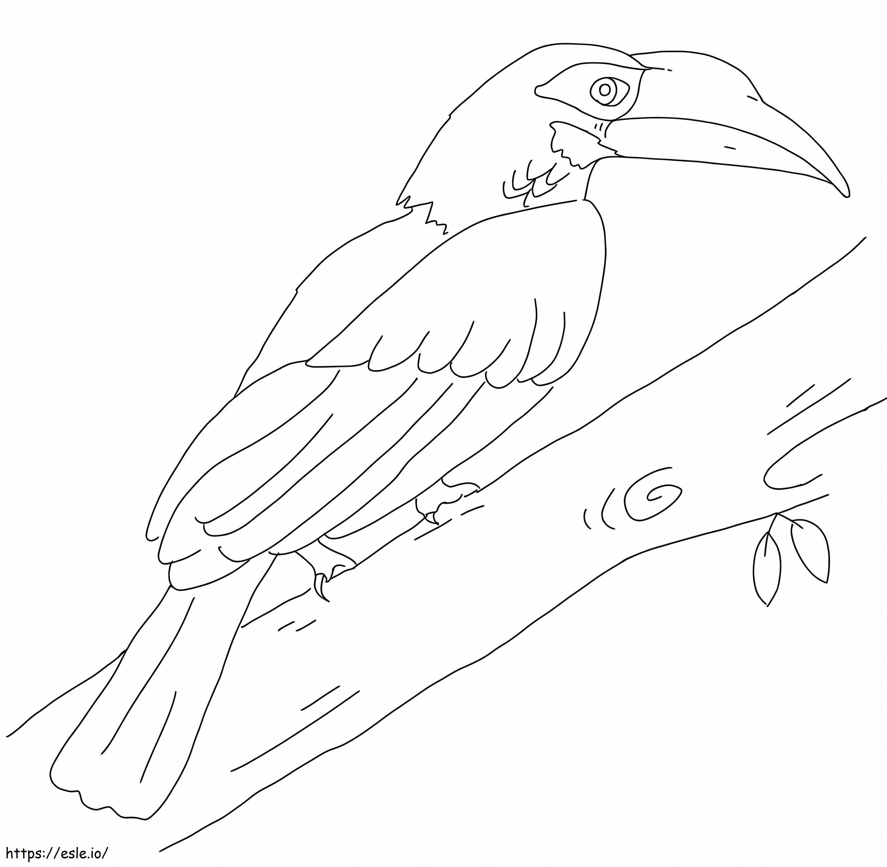 Buschiger Haubenhornvogel ausmalbilder