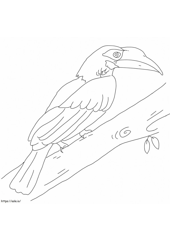 Buschiger Haubenhornvogel ausmalbilder