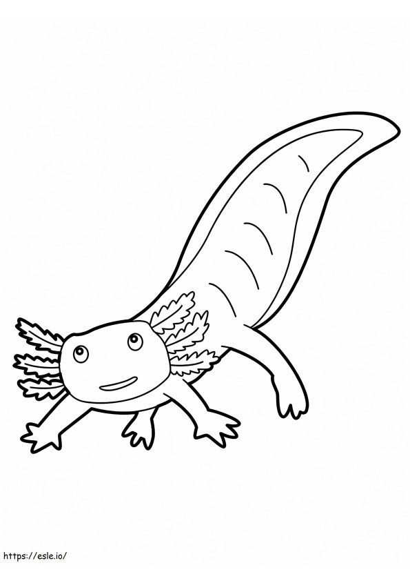Beautiful Salamander coloring page