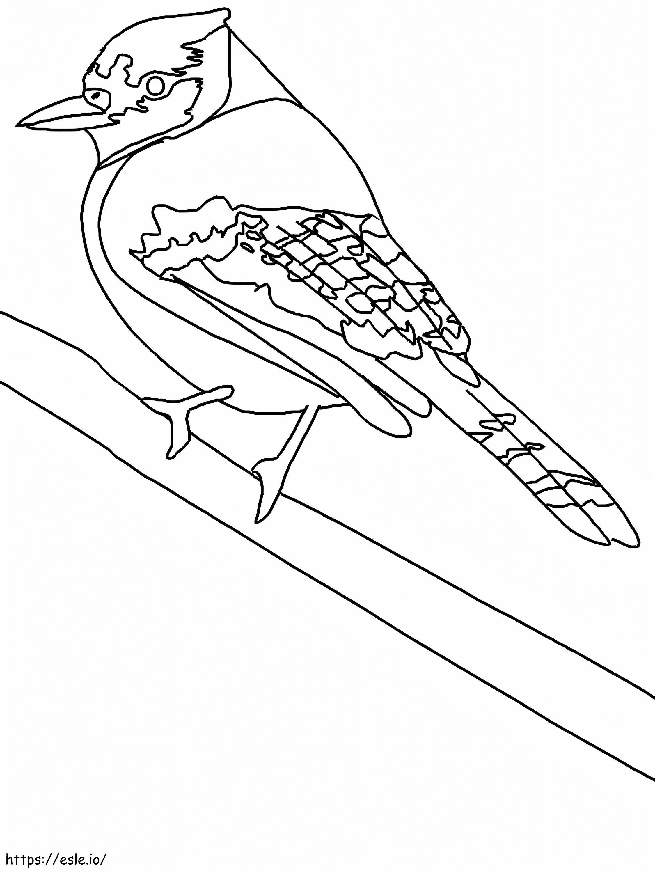 Blue Jay con etichette da colorare
