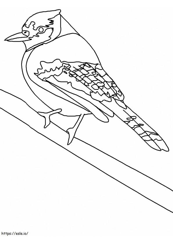 Blue Jay con etichette da colorare