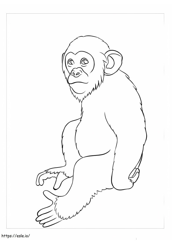 Félelmetes majmok kifestő