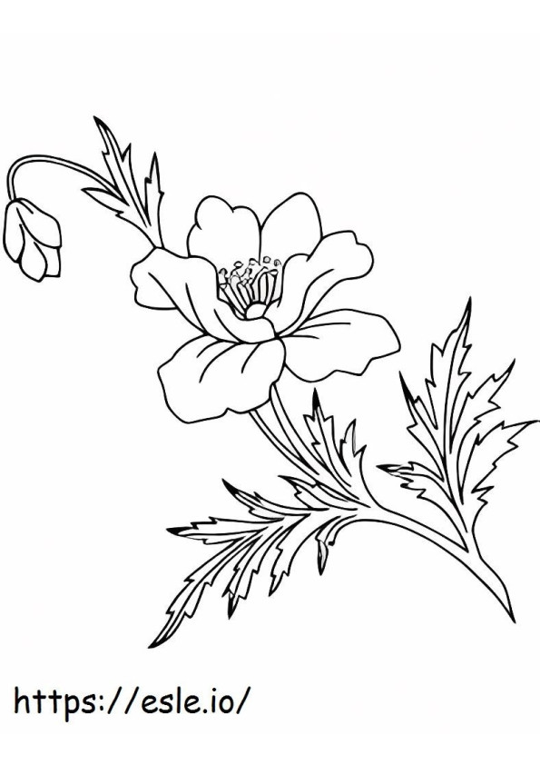 Poppy 7 coloring page